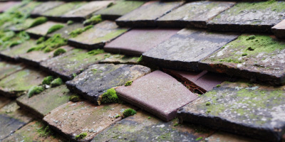 Burwash roof repair costs